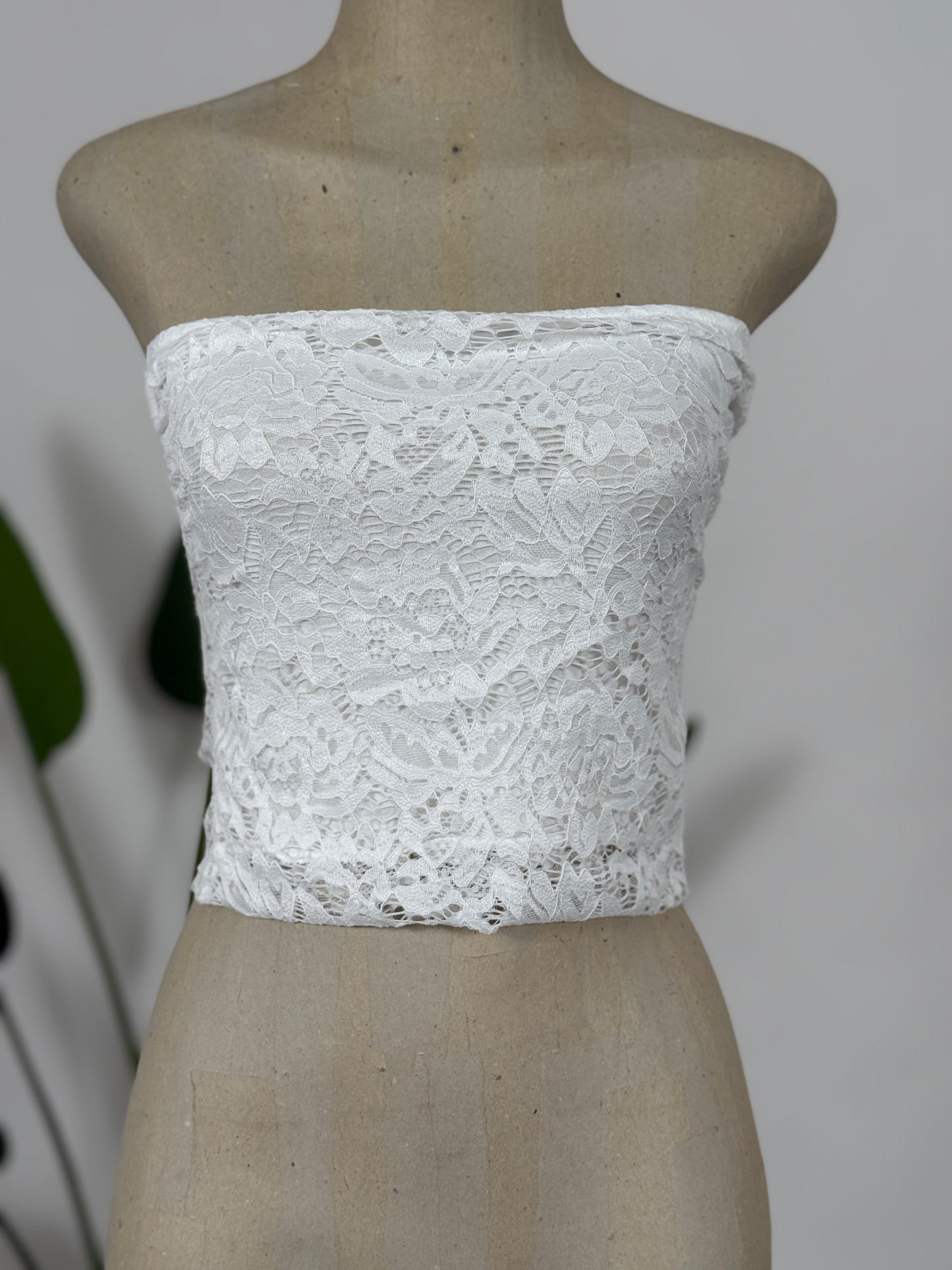 Fascia pizzo